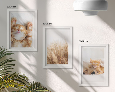 Photo frame wall Cute animals cats dogs delicate grass boho