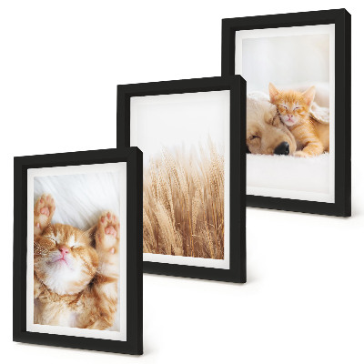 Photo frame wall Cute animals cats dogs delicate grass boho