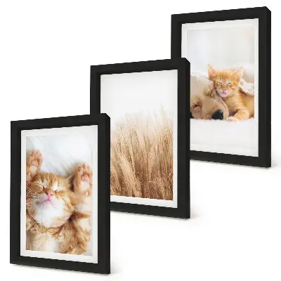 Photo frame wall with a cute animals theme featuring cats dogs and delicate grass in a boho style