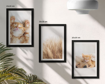 Photo frame wall Cute animals cats dogs delicate grass boho