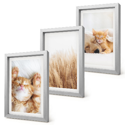 Photo frame wall Cute animals cats dogs delicate grass boho
