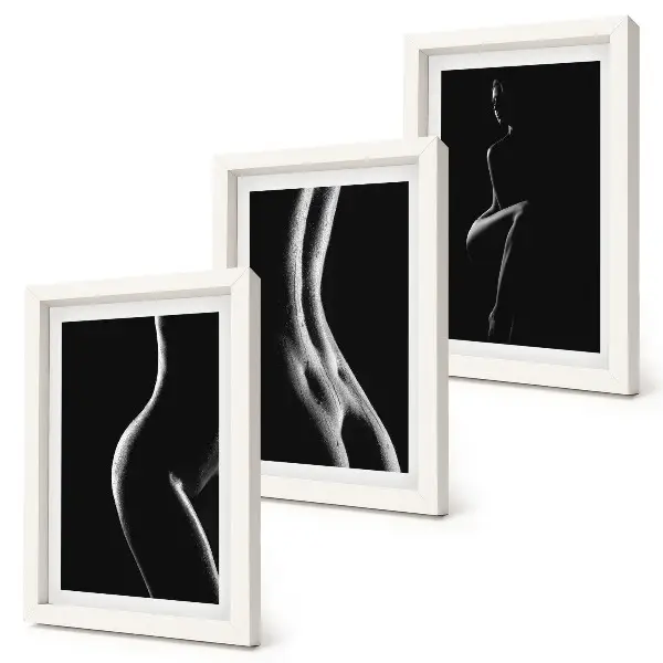 Black and white female silhouettes erotica art framed triptych set