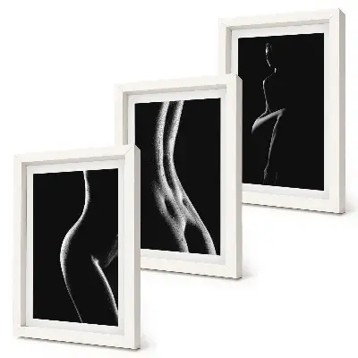 Black and white female silhouettes erotica art framed triptych set