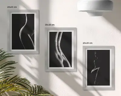 Black and white female silhouettes erotica art framed triptych set