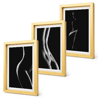 Framed triptych Black and white female silhouettes erotica