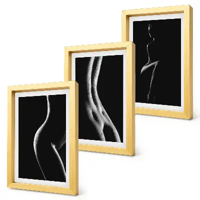 Black and white female silhouettes erotica art framed triptych set