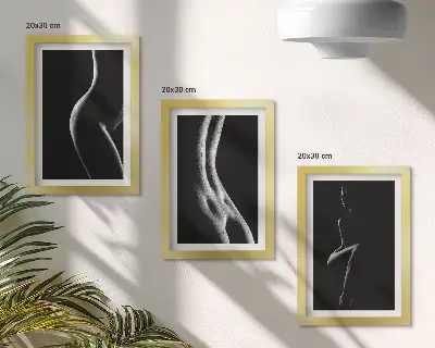 Black and white female silhouettes erotica art framed triptych set