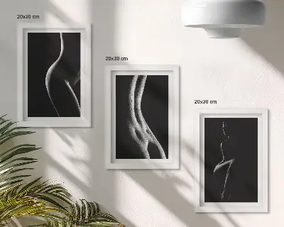 Black and white female silhouettes erotica art framed triptych set