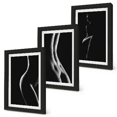 Black and white female silhouettes erotica art framed triptych set
