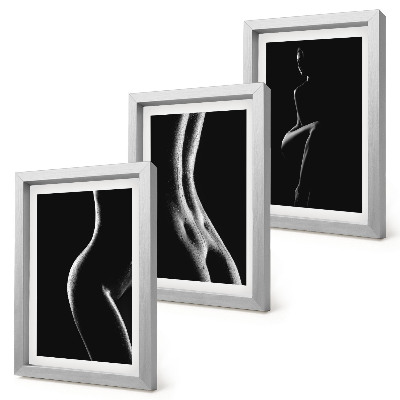 Framed triptych Black and white female silhouettes erotica