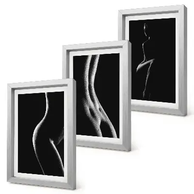 Black and white female silhouettes erotica art framed triptych set