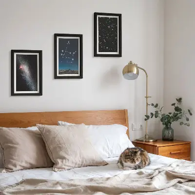 Gemini zodiac sign galaxy space stars framed triptych