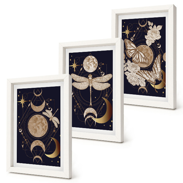 Framed triptych Nature motifs with the moon, space, and flowers