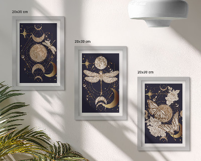 Framed triptych Nature motifs with the moon, space, and flowers
