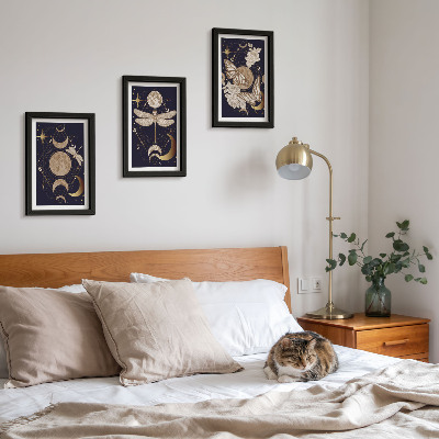 Framed triptych Nature motifs with the moon, space, and flowers