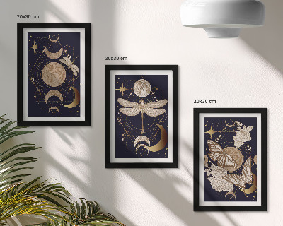 Framed triptych Nature motifs with the moon, space, and flowers