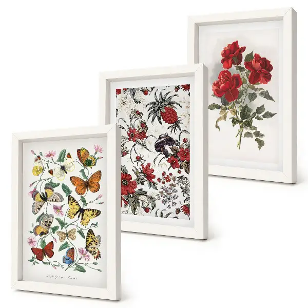 3-piece wall art set with classic butterflies, flowers, and red roses