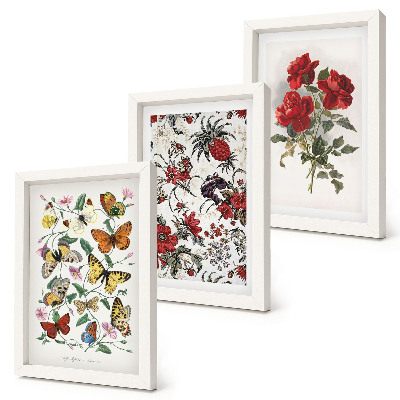 3-piece wall art set Butterflies, flowers and red roses in a classic style