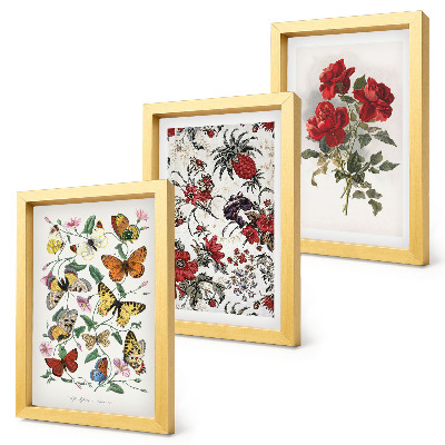 3-piece wall art set Butterflies, flowers and red roses in a classic style
