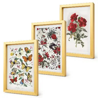 3-piece wall art set with classic butterflies, flowers, and red roses