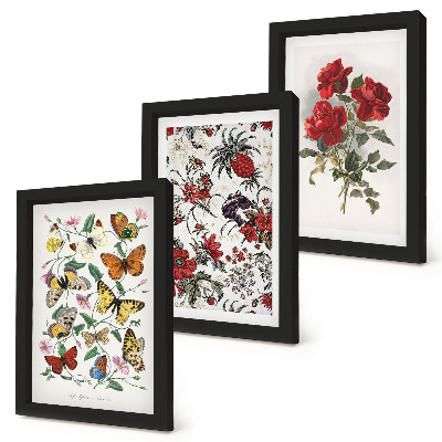 3-piece wall art set Butterflies, flowers and red roses in a classic style