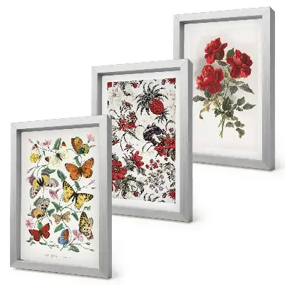 3-piece wall art set with classic butterflies, flowers, and red roses