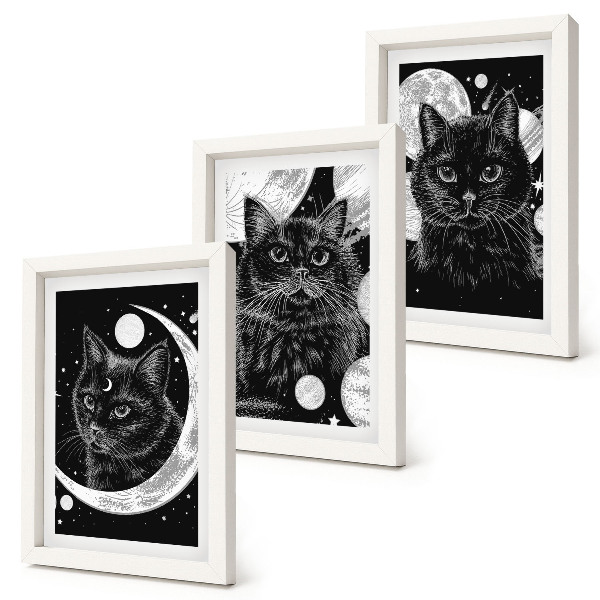 Framed triptych Black cats against the backdrop of the moon and planets in space