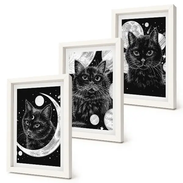 Black cats space moon and planets triptych wall art framed