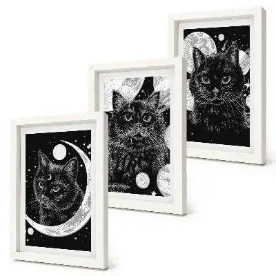 Black cats space moon and planets triptych wall art framed