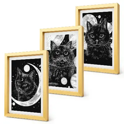 Black cats space moon and planets triptych wall art framed