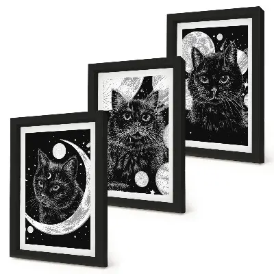 Black cats space moon and planets triptych wall art framed