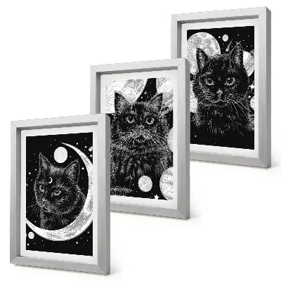 Black cats space moon and planets triptych wall art framed