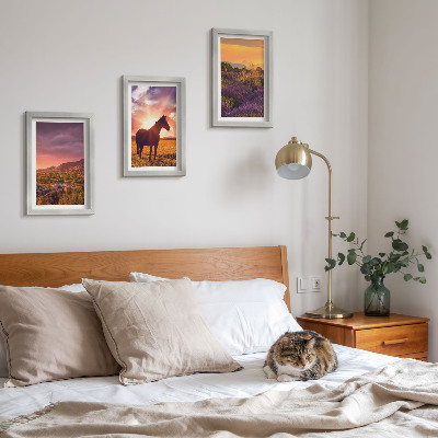 Framed triptych Mountain landscapes with horses and lavender fields