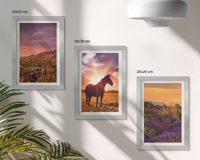 Framed triptych Mountain landscapes with horses and lavender fields