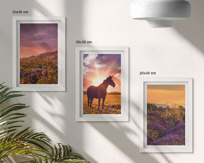 Framed triptych Mountain landscapes with horses and lavender fields
