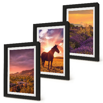 Framed triptych Mountain landscapes with horses and lavender fields
