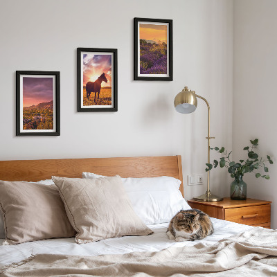 Framed triptych Mountain landscapes with horses and lavender fields