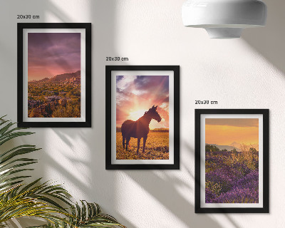 Framed triptych Mountain landscapes with horses and lavender fields