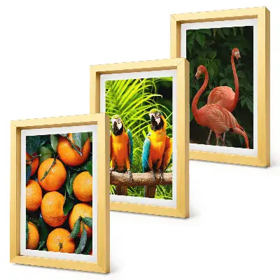 Photo frame wall with tropical fruity accents featuring parrots and flamingos