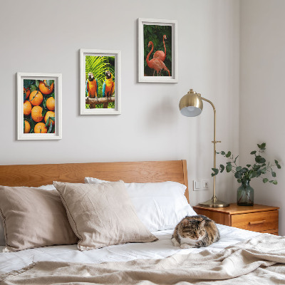 Photo frame wall Fruity accents with parrots and flamingos in the tropics