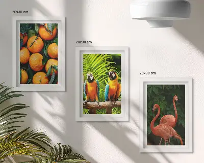 Photo frame wall with tropical fruity accents featuring parrots and flamingos