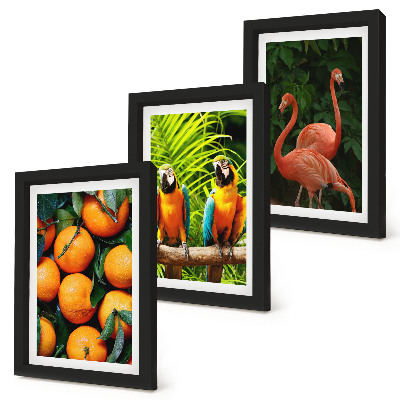 Photo frame wall Fruity accents with parrots and flamingos in the tropics