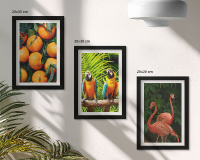 Photo frame wall Fruity accents with parrots and flamingos in the tropics