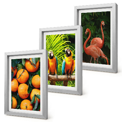 Photo frame wall Fruity accents with parrots and flamingos in the tropics