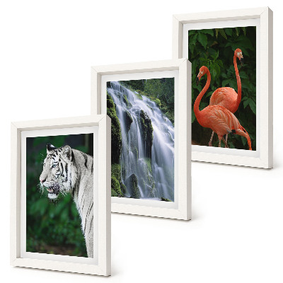 Framed triptych Tiger waterfall and pink flamingos in nature