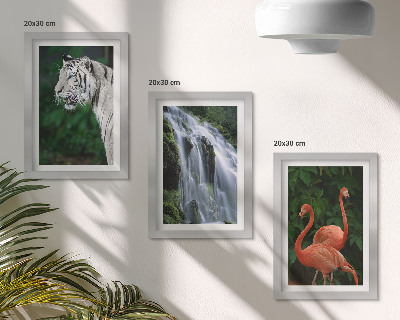 Framed triptych Tiger waterfall and pink flamingos in nature