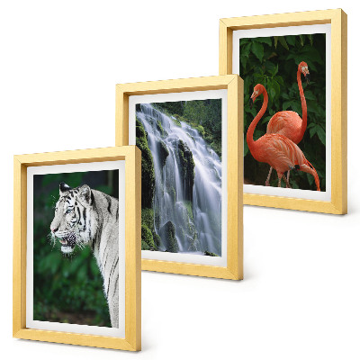 Framed triptych Tiger waterfall and pink flamingos in nature