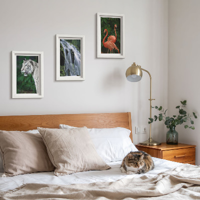 Framed triptych Tiger waterfall and pink flamingos in nature