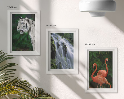 Framed triptych Tiger waterfall and pink flamingos in nature