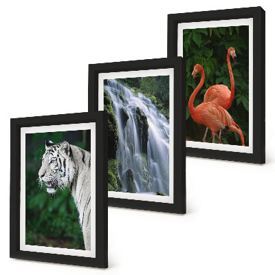 Framed triptych Tiger waterfall and pink flamingos in nature